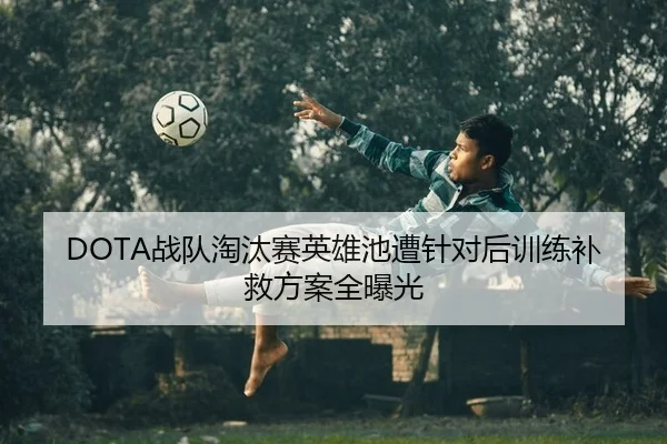 DOTA战队淘汰赛英雄池遭针对后训练补救方案全曝光
